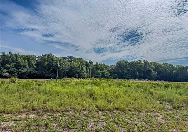 Homes for sale in Red Springs, NC | 63 Newton Rd, Red Springs, NC 28377 | MLS# 764211