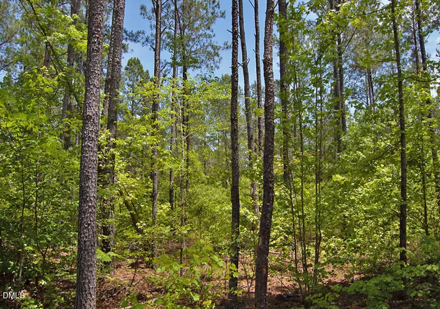 Photo 3 of Land for sale at I G F Ball Rd, Louisburg, NC 27549 | MLS# 10173662 | Listing updated on 2026-07-21
