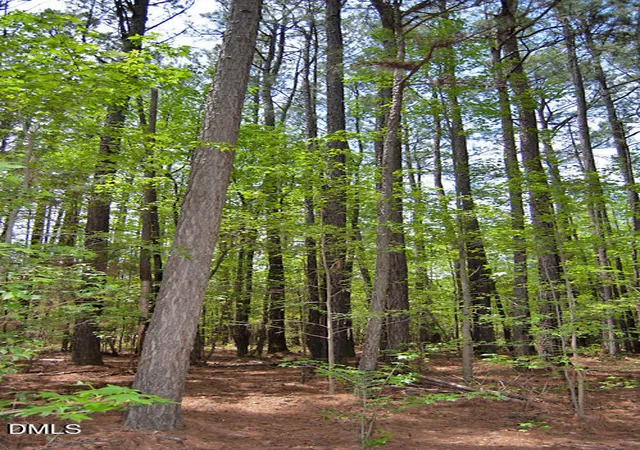 Photo 3 of Land for sale at K G F Ball Rd, Louisburg, NC 27549 | MLS# 10173671 | Listing updated on 2026-07-21