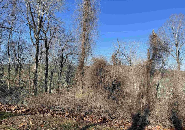 1st image of 39417 Glenn Glade, Chapel Hill, NC 27517 | MLS# 10174507