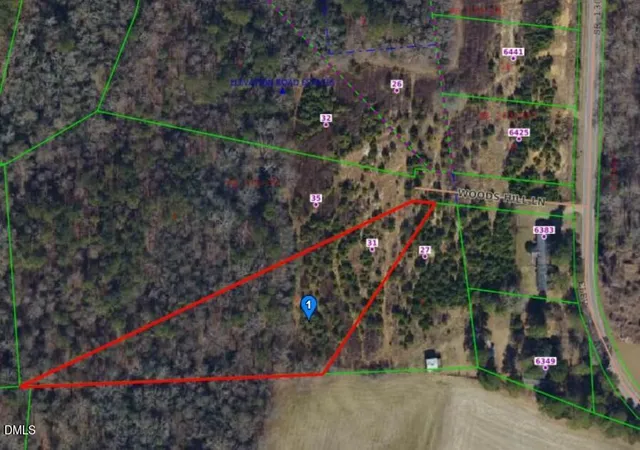 Homes for sale in Benson, NC | 31 Woods Hill Lane, Benson, NC 27504 | MLS# 10174054