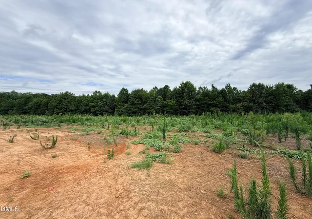 Photo 4 of Single family home for sale at 166 Batten Pond Rd, Selma, NC 27576 | MLS# 10174643 | Listing updated on 2026-09-17