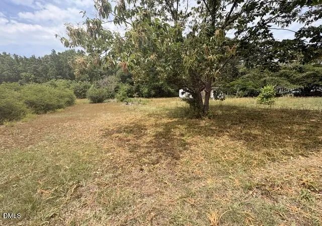 Homes for sale in Zebulon, NC | 920 Cheves Rd, Zebulon, NC 27597 | MLS# 10174226