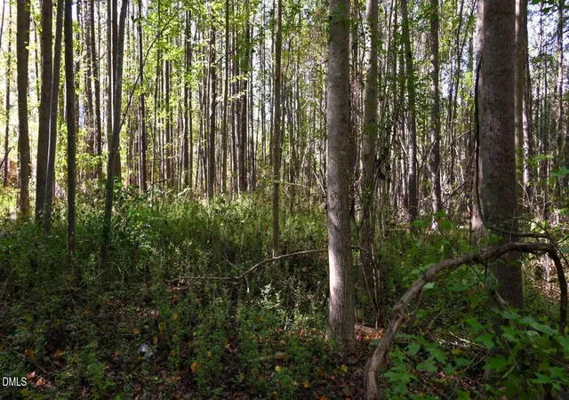 Photo 4 of Sale Pending at 906 Shaw Ml Rd, Fayetteville, NC 28311 | MLS# 10174320 | Listing updated on 2026-09-01