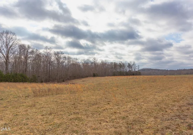Homes for sale in Rougemont, NC | 624 Bowen Rd, Rougemont, NC 27572 | MLS# 10179200