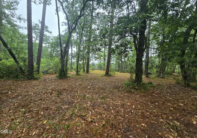 2nd image of 488 Bay Shores Rd, Merritt, NC 28556 | MLS# 10175590