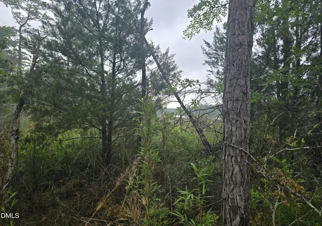 Photo 3 of Land for sale at 488 Bay Shrs Rd, Merritt, NC 28556 | MLS# 10175590 | Listing updated on 2026-07-18