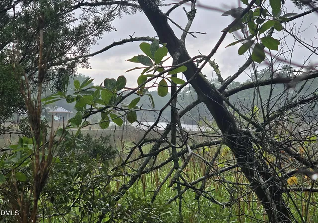 5th image of 488 Bay Shores Rd, Merritt, NC 28556 | MLS# 10175590