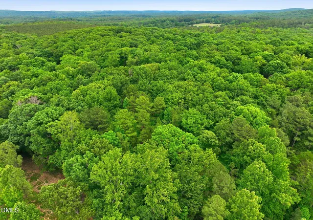 3rd image of 1841 Dots Dr, Hillsborough, NC 27278 | MLS# 10175084