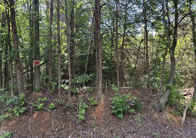 Homes for sale in Rougemont, NC | 3016 Carver Rd, Rougemont, NC 27572 | MLS# 10175537