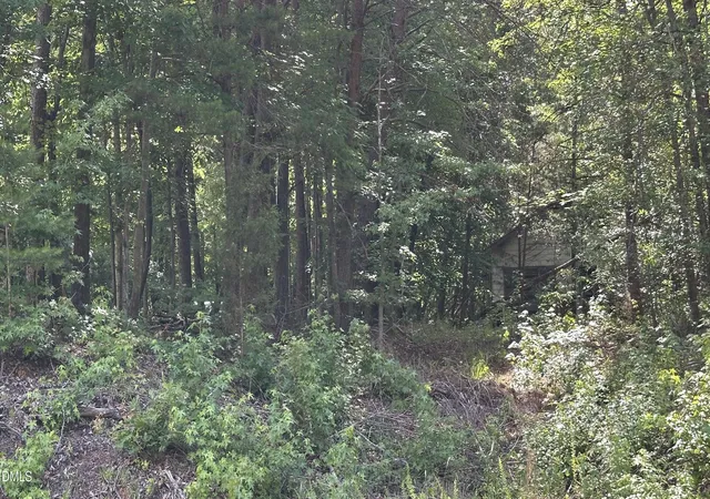 Homes for sale in Rougemont, NC | 3016 Carver Rd, Rougemont, NC 27572 | MLS# 10175537