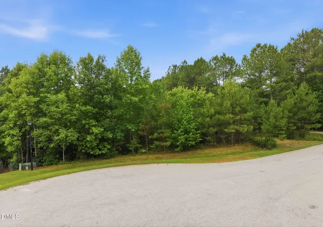 Homes for sale in Franklinton, NC | 160 Siltstone Dr, Franklinton, NC 27525 | MLS# 10176143