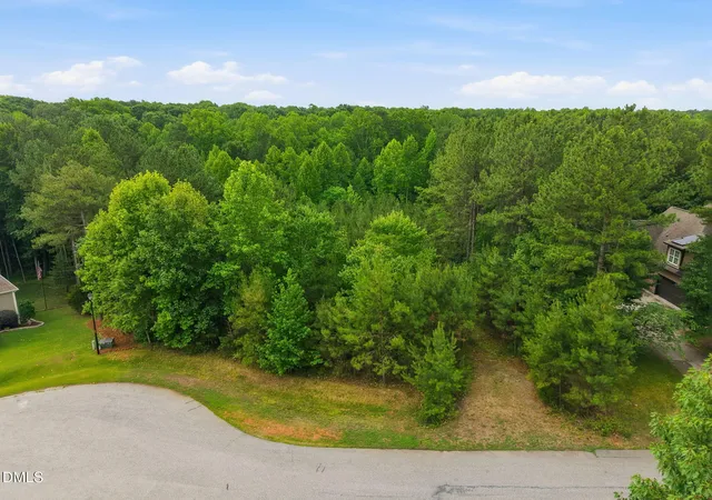 Homes for sale in Franklinton, NC | 160 Siltstone Dr, Franklinton, NC 27525 | MLS# 10176143