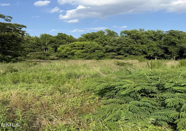 Photo 3 of Land for sale at 2712 Erwin Chapel Rd, Dunn, NC 28334 | MLS# 10175704 | Listing updated on 2026-07-18