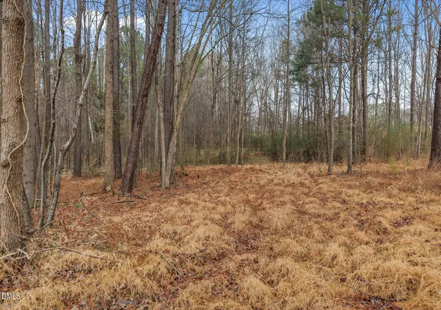 Homes for sale in Louisburg, NC | 120 Corinth Dr, Louisburg, NC 27549 | MLS# 10176103
