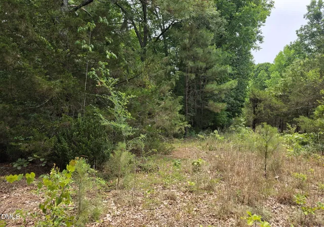 10th image of 4901 Bluebird House Ln, Raleigh, NC 27616 | MLS# 10175992