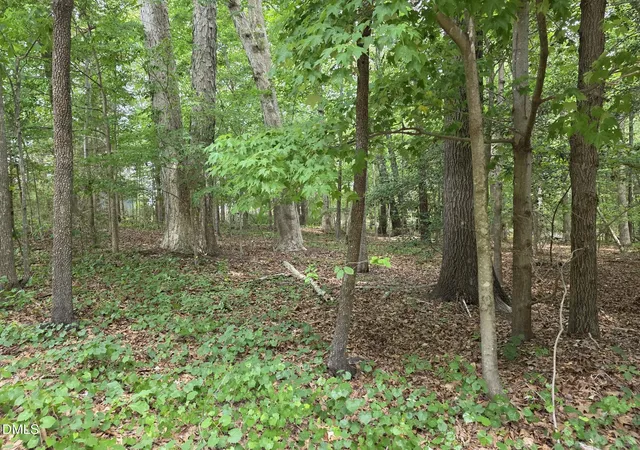 1st image of 4901 Bluebird House Ln, Raleigh, NC 27616 | MLS# 10175992