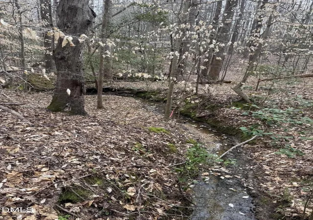 2nd image of 0 Old Us Hwy 64, Spring Hope, NC 27882 | MLS# 10175871