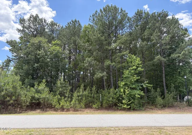 Homes for sale in Franklinton, NC | 55 Grand Fairway Dr, Franklinton, NC 27525 | MLS# 10176113