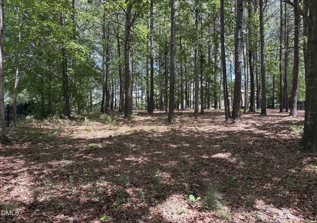 Homes for sale in Franklinton, NC | 55 Grand Fairway Dr, Franklinton, NC 27525 | MLS# 10176113