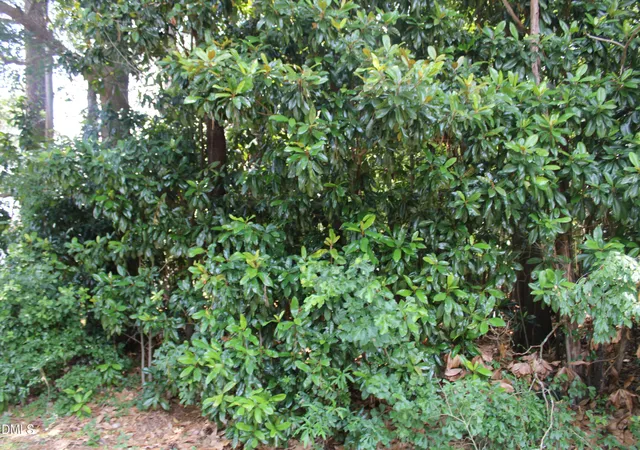 Photo 1 of Land for sale at 20 Grant Dr, Goldsboro, NC 27534 | MLS# 10176497 | Listing updated on 2026-08-24