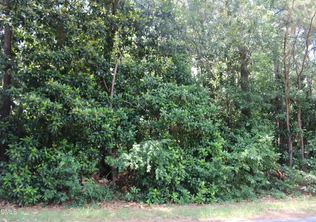 Photo 3 of Land for sale at 20 Grant Dr, Goldsboro, NC 27534 | MLS# 10176497 | Listing updated on 2026-08-24