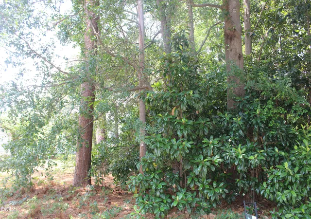 Photo 3 of Land for sale at 20 Grant Dr, Goldsboro, NC 27534 | MLS# 10176497 | Listing updated on 2026-08-24