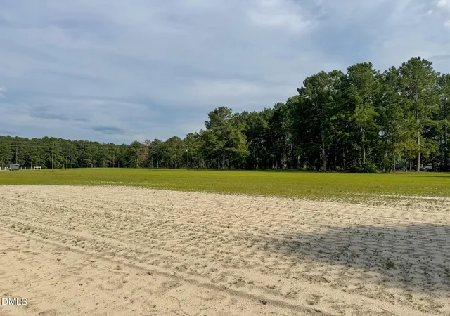 46th image of 113 Pine Log Ln, Roseboro, NC 28382 | MLS# 10176551