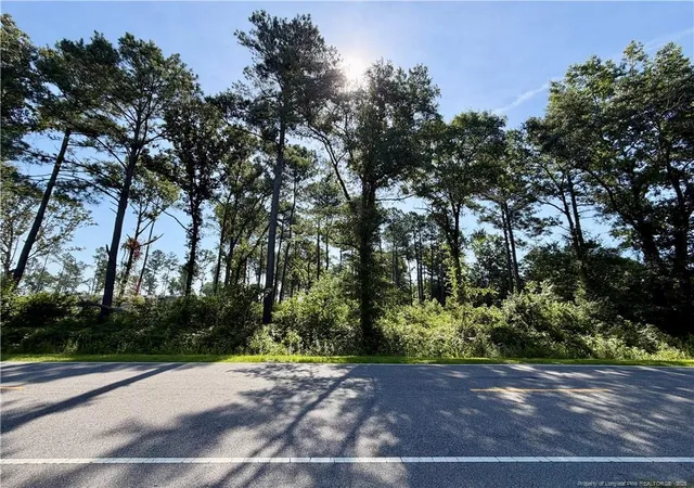 Homes for sale in Lumberton, NC | 1396 Mercer Mill Rd, Lumberton, NC 28358 | MLS# 764967