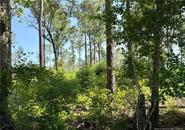 Photo 3 of Sale Pending at 1396 Mercer Ml Rd, Lumberton, NC 28358 | MLS# 764967 | Listing updated on 2026-08-08