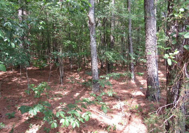 Homes for sale in Franklinton, NC | 45 Mayodan Ln, Franklinton, NC 27525 | MLS# 10176998