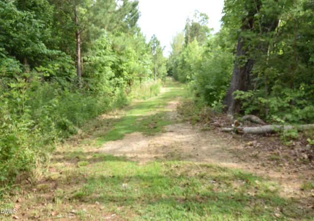 Photo 3 of Land for sale at 1034 Paschal Rd, Yanceyville, NC 27379 | MLS# 10177645 | Listing updated on 2026-10-09