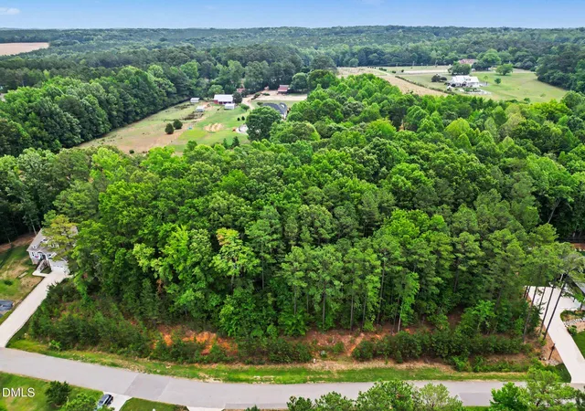 4th image of 9004 Patmos Wy, Wake Forest, NC 27587 | MLS# 10177356