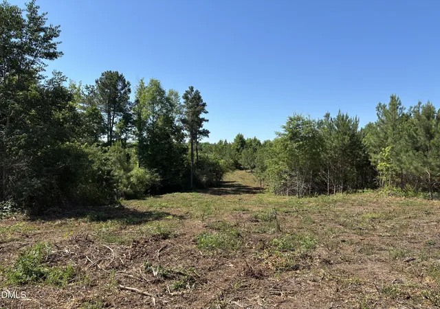Homes for sale in Manson, NC | 0 Burchette Road Lot 1, Manson, NC 27553 | MLS# 10177328