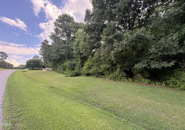 Homes for sale in Benson, NC | 0 Old Barbour Rd, Benson, NC 27504 | MLS# 10178435