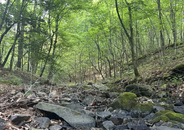 3rd image of 0 Beaver Dam Rd, Creedmoor, NC 27522 | MLS# 10177886