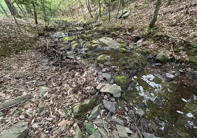 4th image of 0 Beaver Dam Rd, Creedmoor, NC 27522 | MLS# 10177886