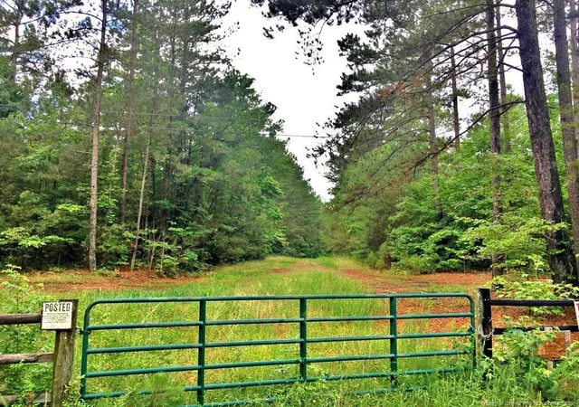 3rd image of Valley Rd, Sanford, NC 27330 | MLS# 765140