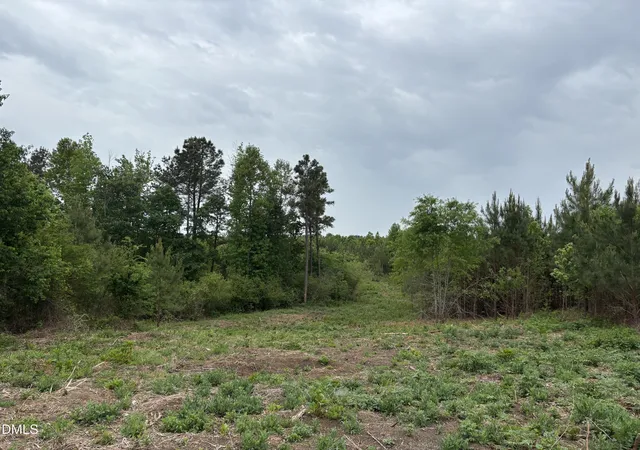 Homes for sale in Manson, NC | 0 Burchette Road Lot 2 Road, Manson, NC 27553 | MLS# 10177470
