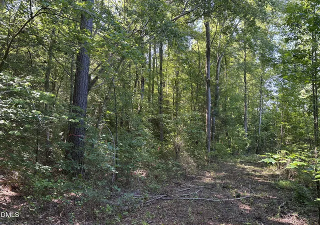 Homes for sale in Manson, NC | 0 Burchette Road Lot 2 Road, Manson, NC 27553 | MLS# 10177470