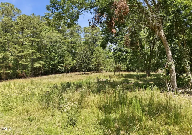 Photo 4 of Land for sale at 2185 Hanks Chapel Rd, Pittsboro, NC 27312 | MLS# 10181682 | Listing updated on 2026-08-19