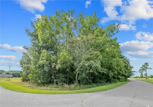 Photo 4 of Land for sale at 1631 Ferndale Dr, Fayetteville, NC 28314 | MLS# 765323 | Listing updated on 2026-07-18