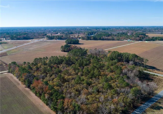 4th image of 0 Strickland Bridge Rd, Fayetteville, NC 28306 | MLS# 765329
