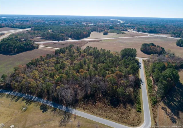 5th image of 0 Strickland Bridge Rd, Fayetteville, NC 28306 | MLS# 765329