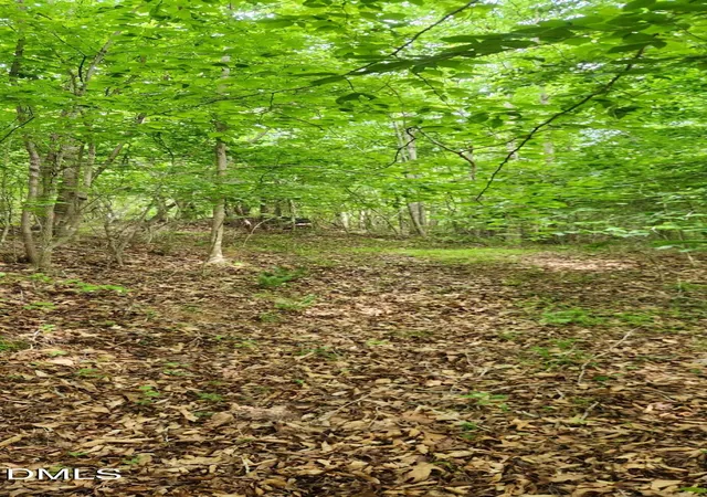 5th image of 0 Helena Moriah Rd, Timberlake, NC 27583 | MLS# 10179573