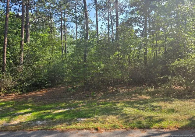 Homes for sale in Pinehurst, NC | Tbd King Ct, Pinehurst, NC 28374 | MLS# 765418