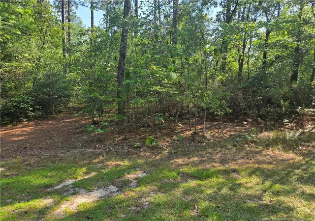 Homes for sale in Pinehurst, NC | Tbd King Ct, Pinehurst, NC 28374 | MLS# 765418