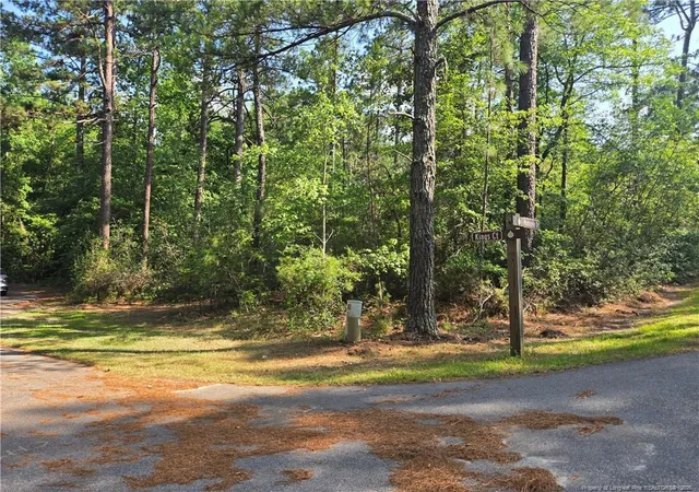 Homes for sale in Pinehurst, NC | Tbd King Ct, Pinehurst, NC 28374 | MLS# 765418