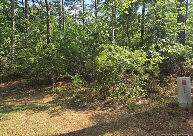 Homes for sale in Pinehurst, NC | Tbd King Ct, Pinehurst, NC 28374 | MLS# 765418