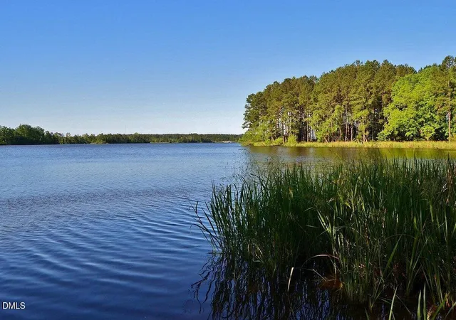 Photo 5 of Sale Pending at 0 Nc Hwy 42, New Hill, NC 27562 | MLS# 10178207 | Listing updated on 2026-07-18